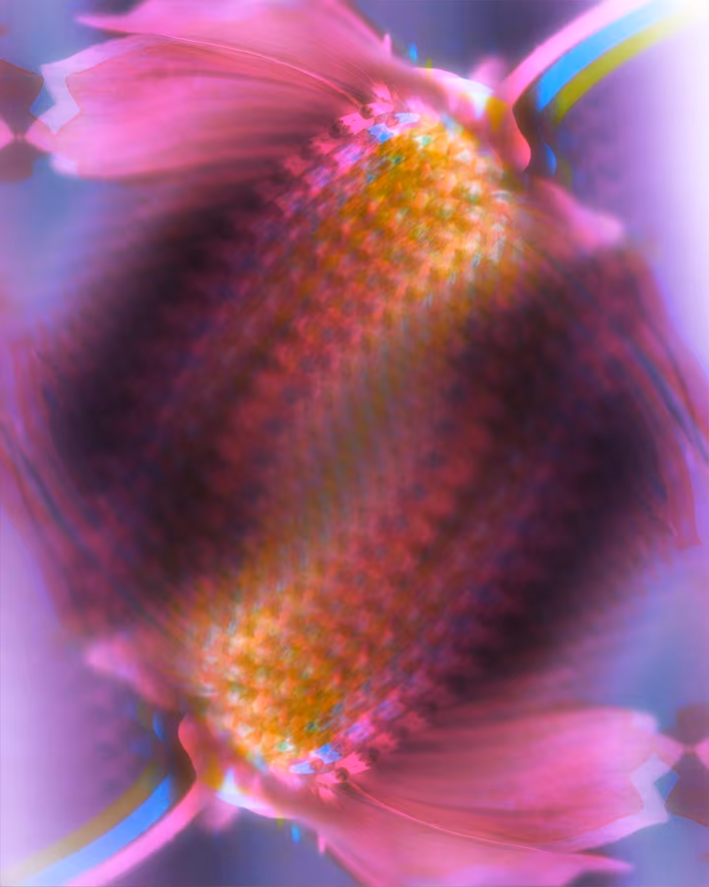 Möbius Bloom