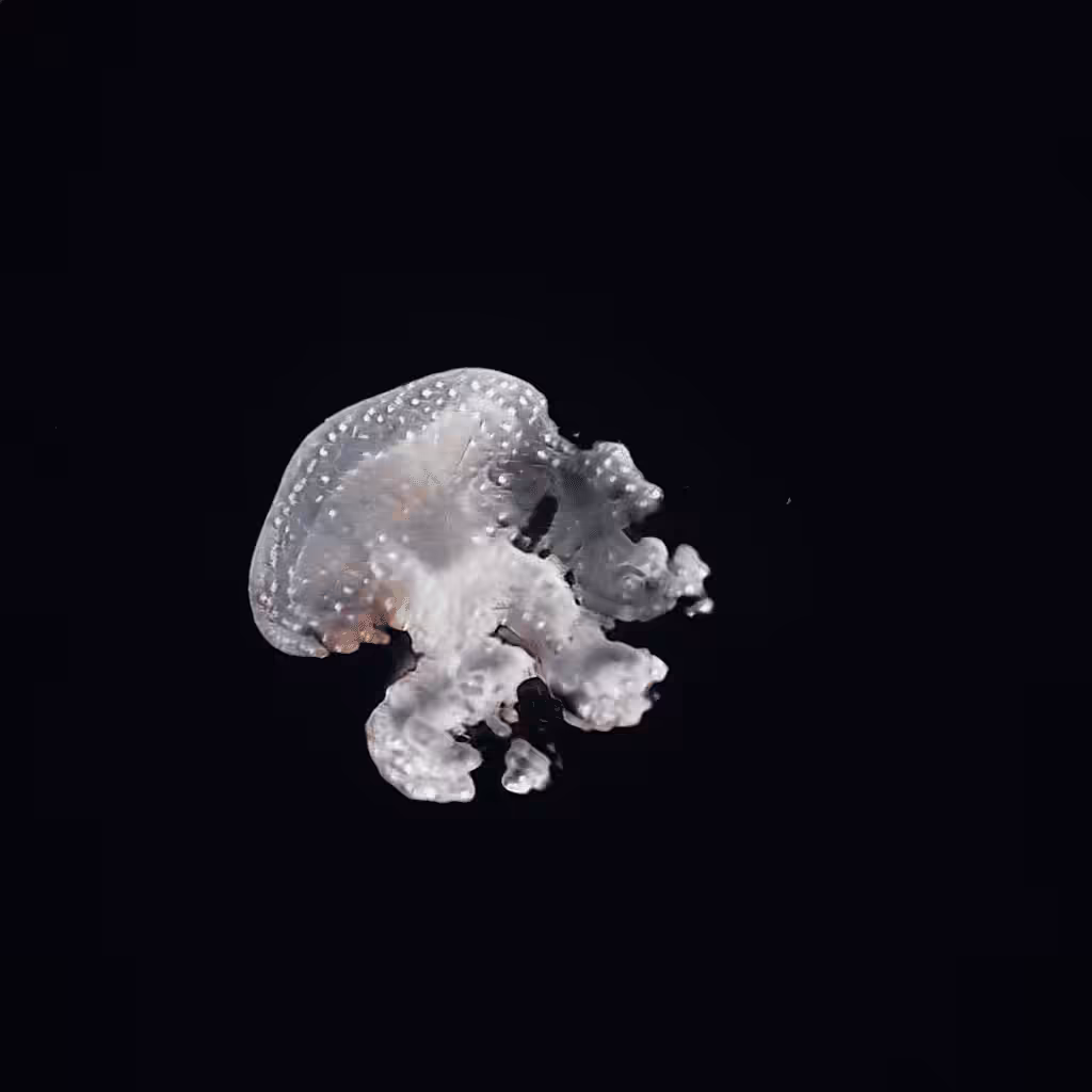 AI imagined jellyfish #1