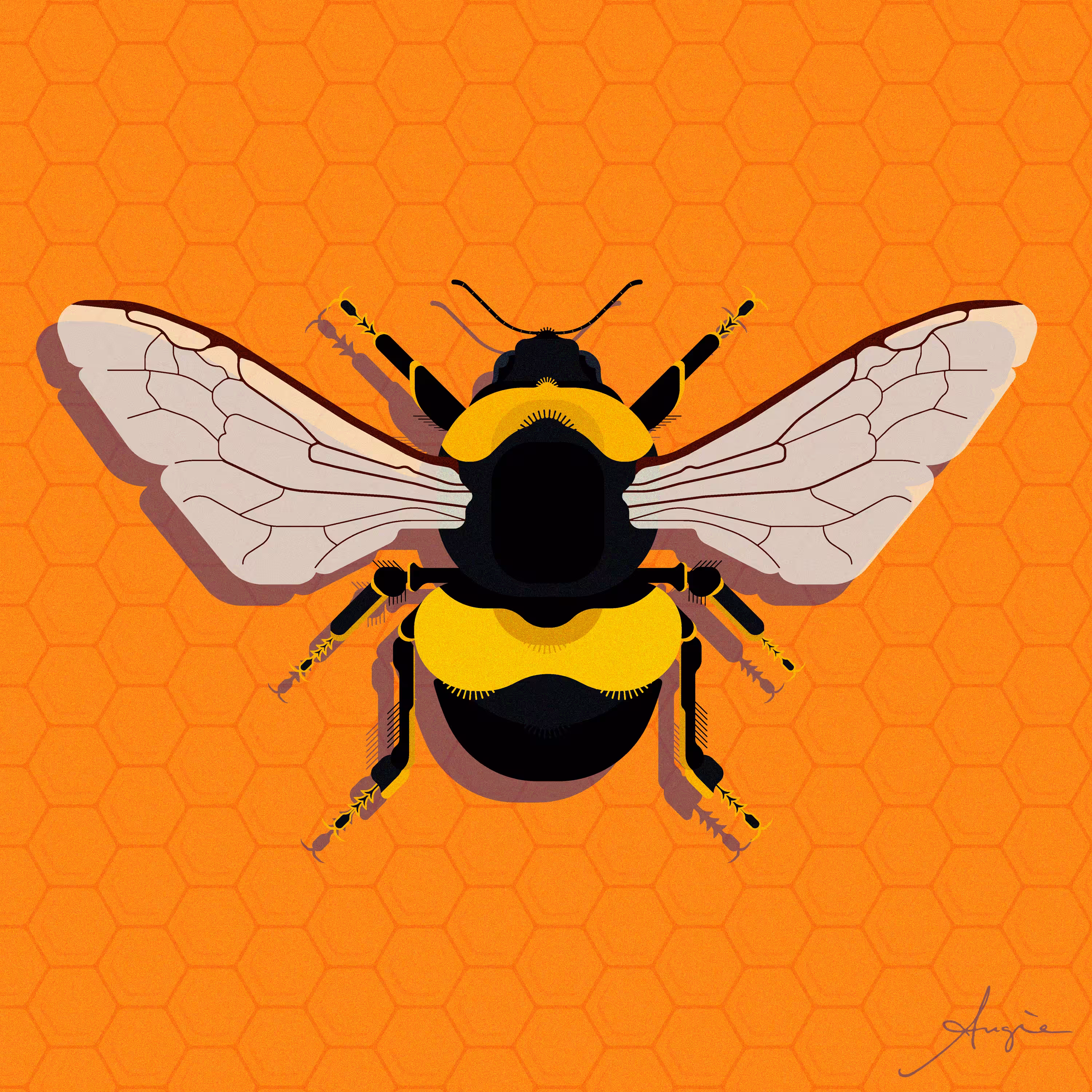 The Bee