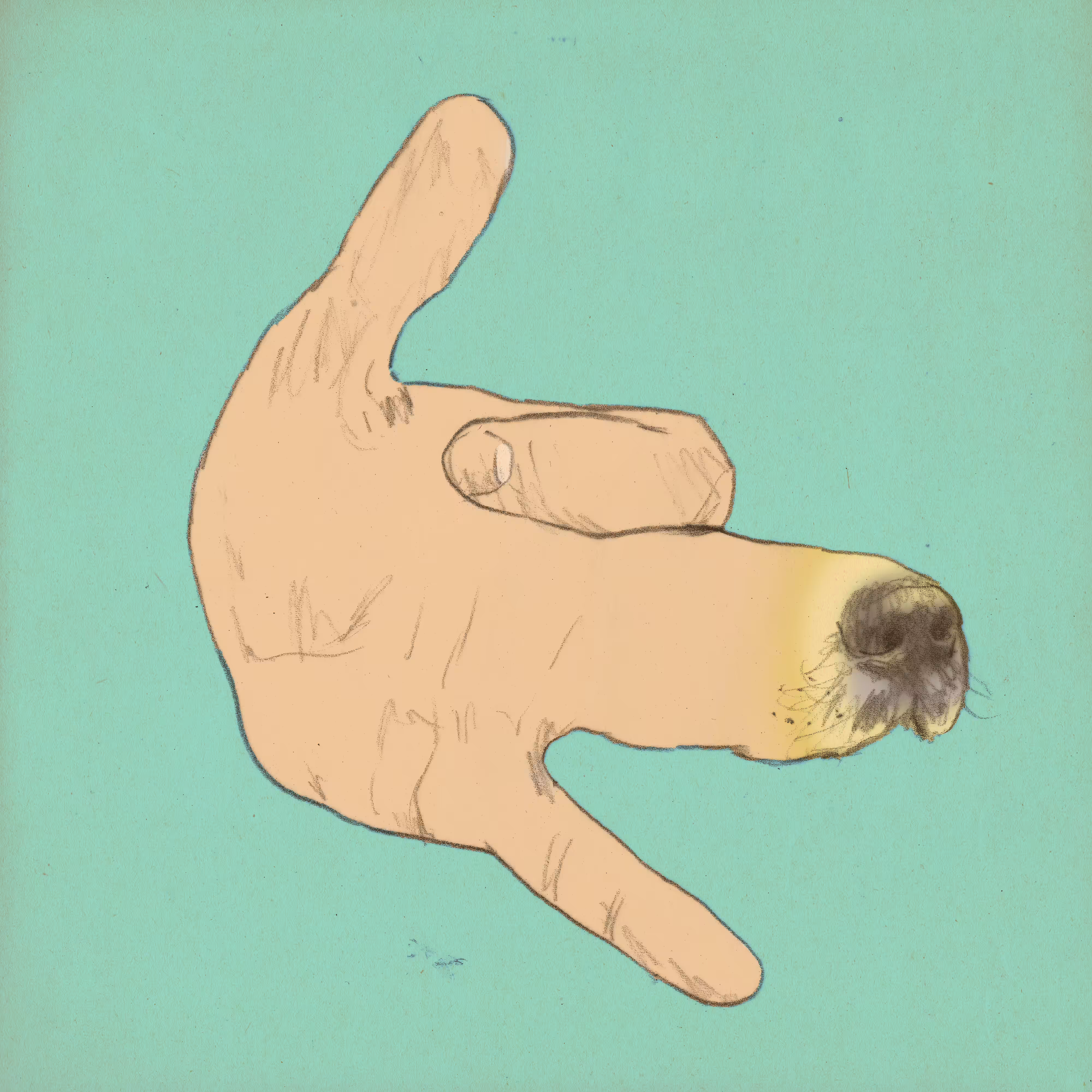 dog hand