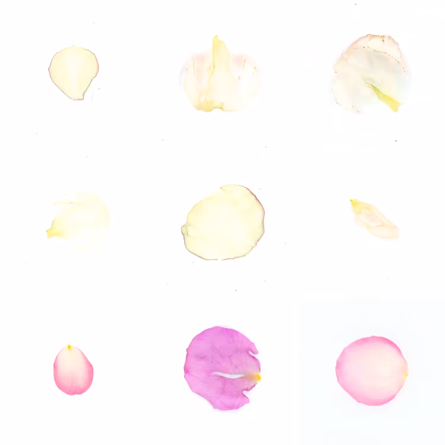Infinite Petals 3x3#3544
