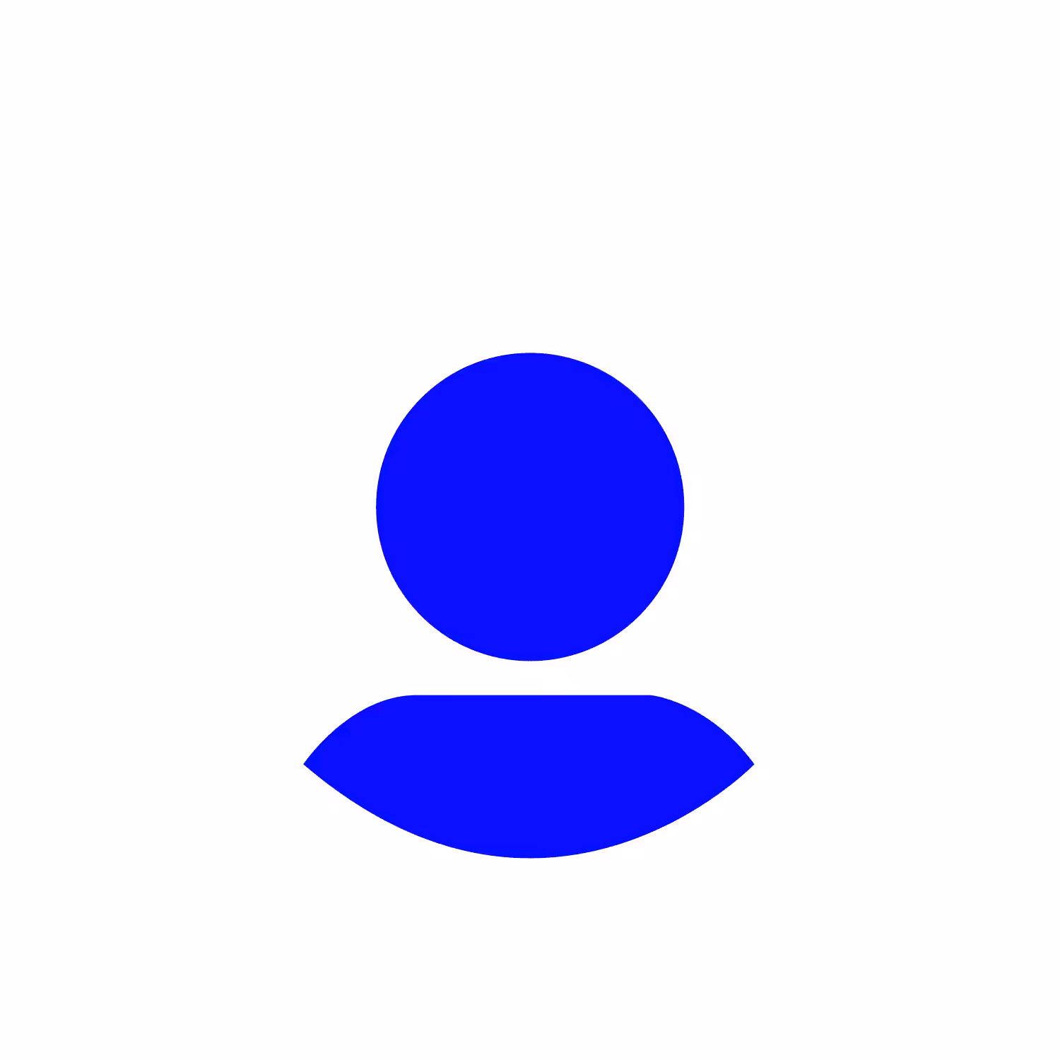 No PFP Project: No PFP #0787