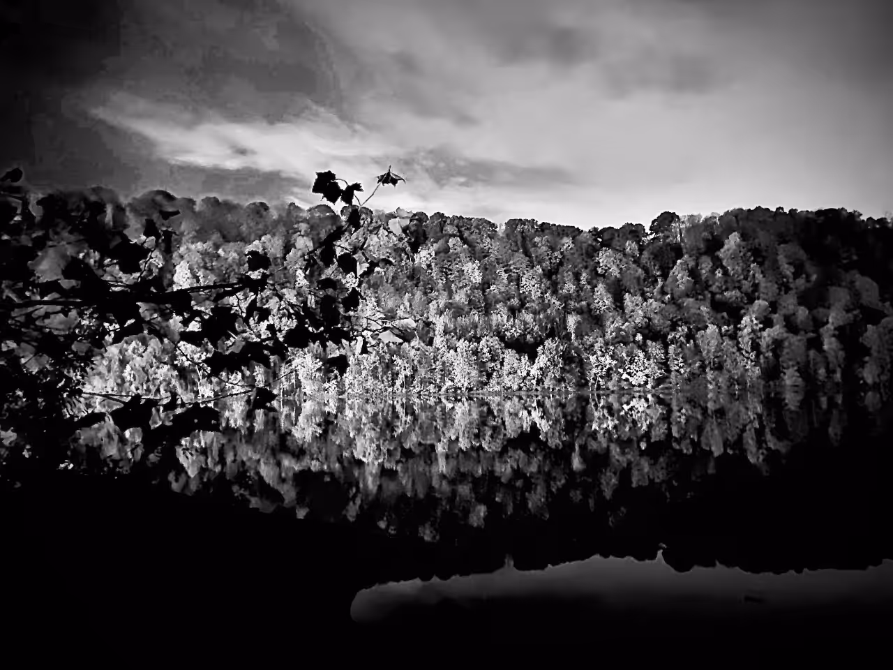 Reflection