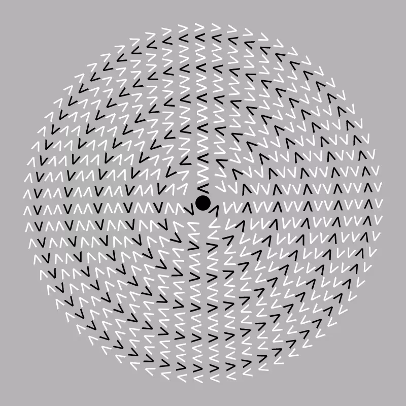 Dizzy Wheel #2