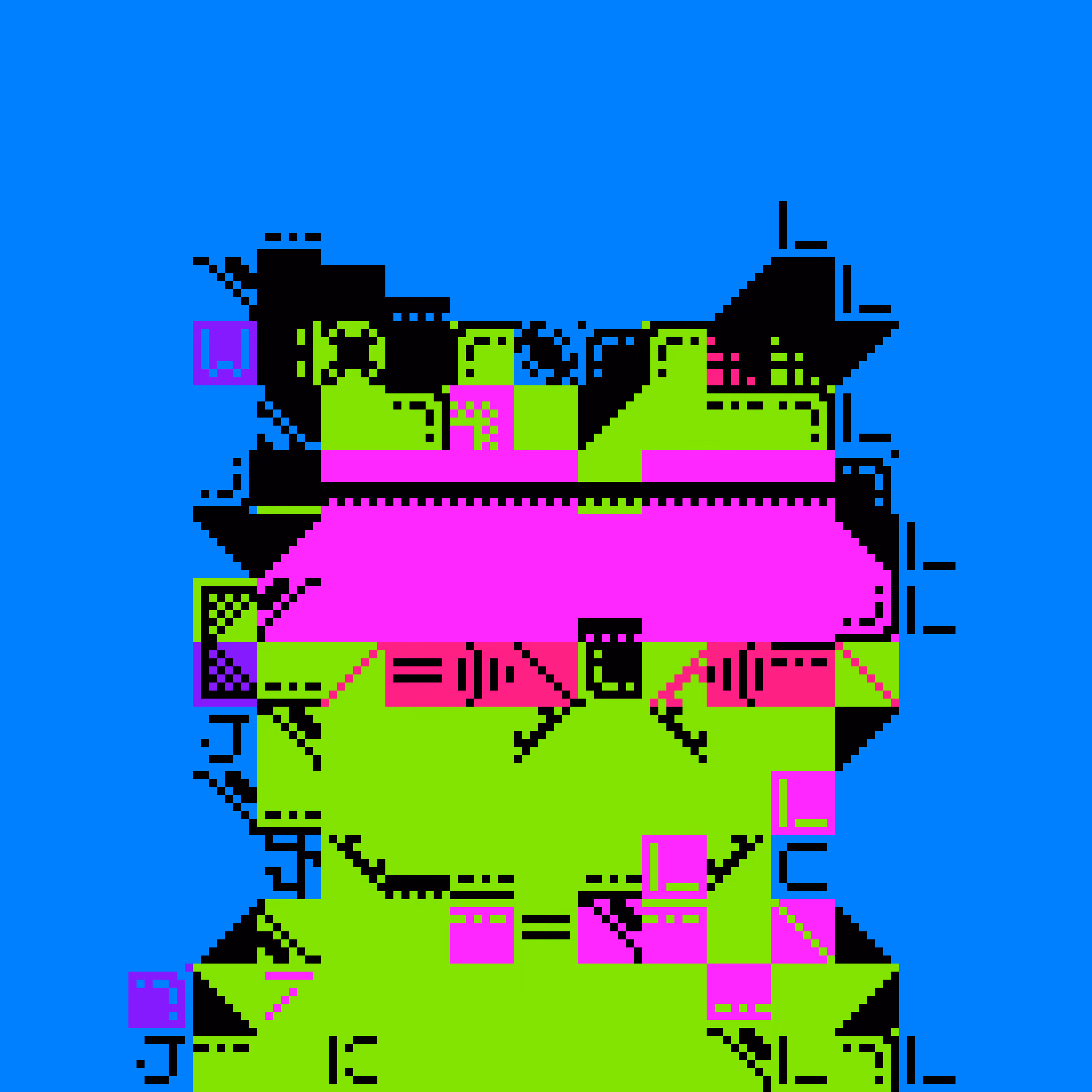MIGGLES ON ASCII: SegFaultSiamese