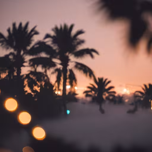 hxp_palm_109