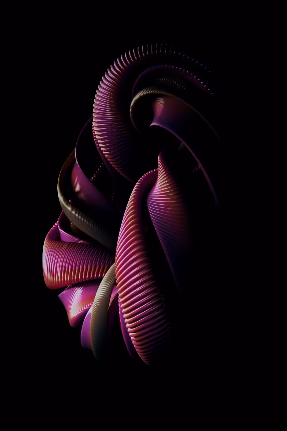 PATRIC ORTMANN: HYP·SELO·DORIS