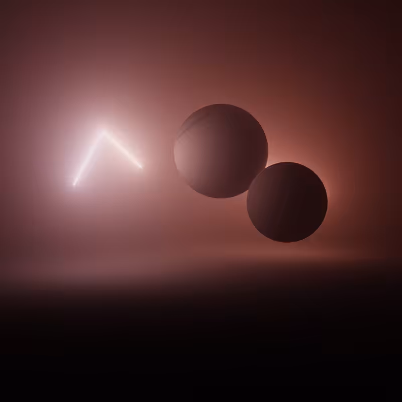Wandering Nets #93