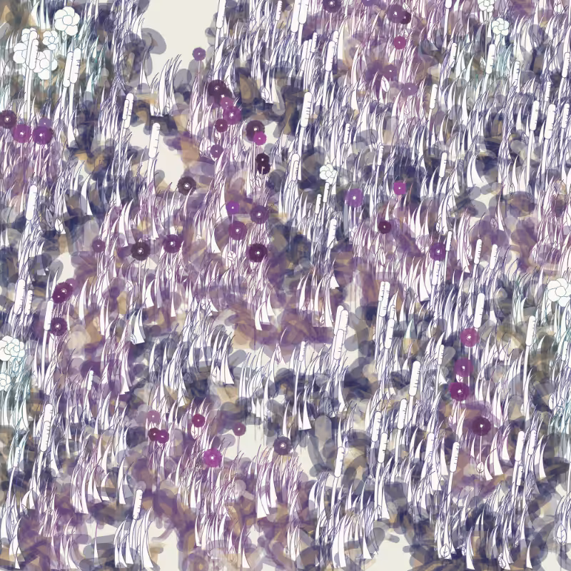 Petri 1500 v2 QHD  #344