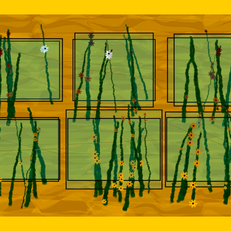 Flower Boxes #7