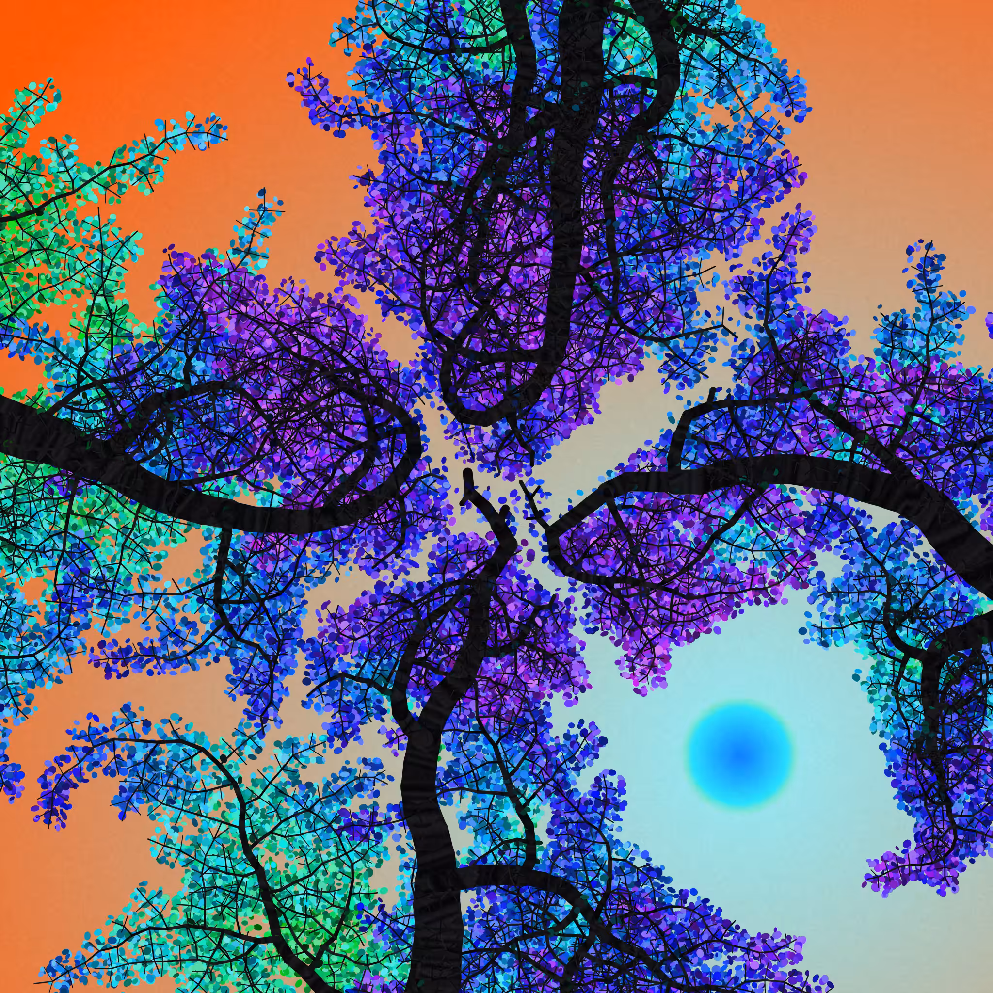 Tree Skyness #241