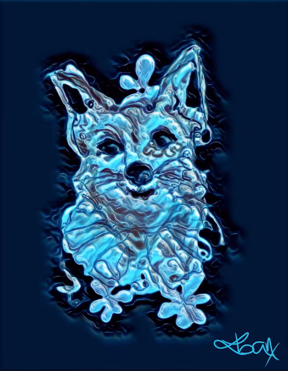Zorra