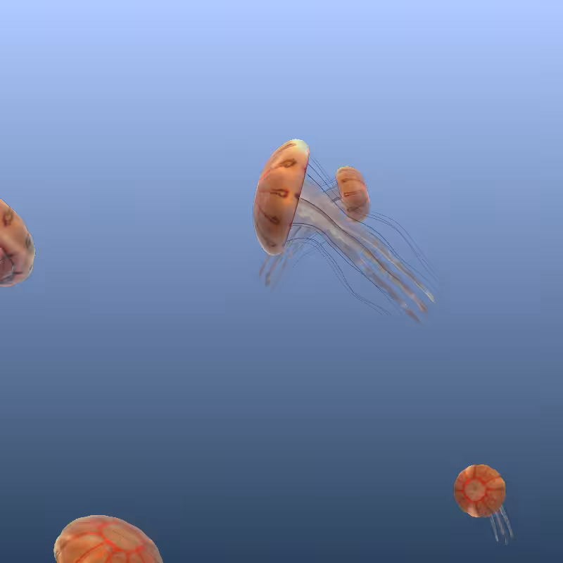 Jellyfish #13