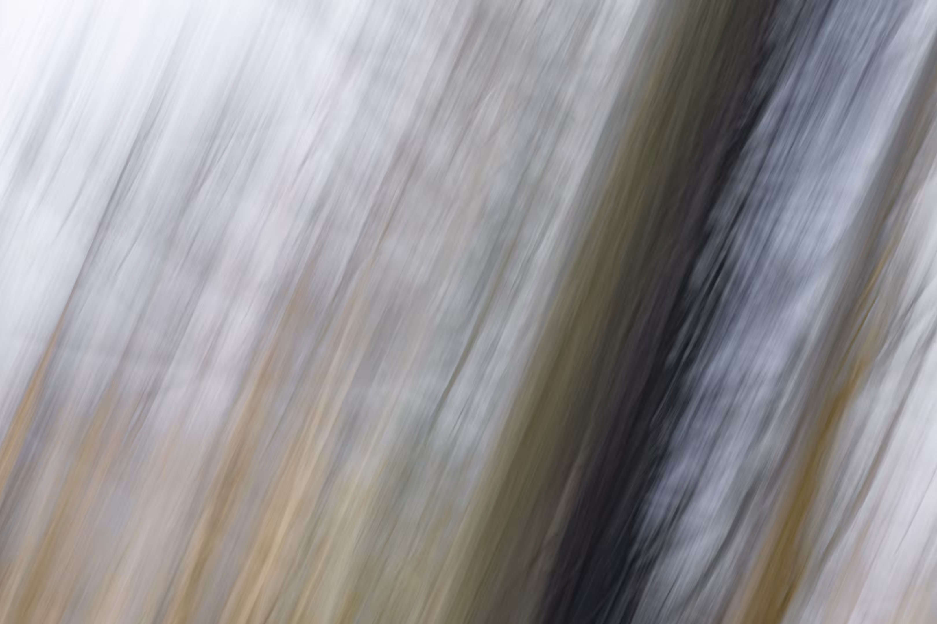 The Ghosts of Elowah #37