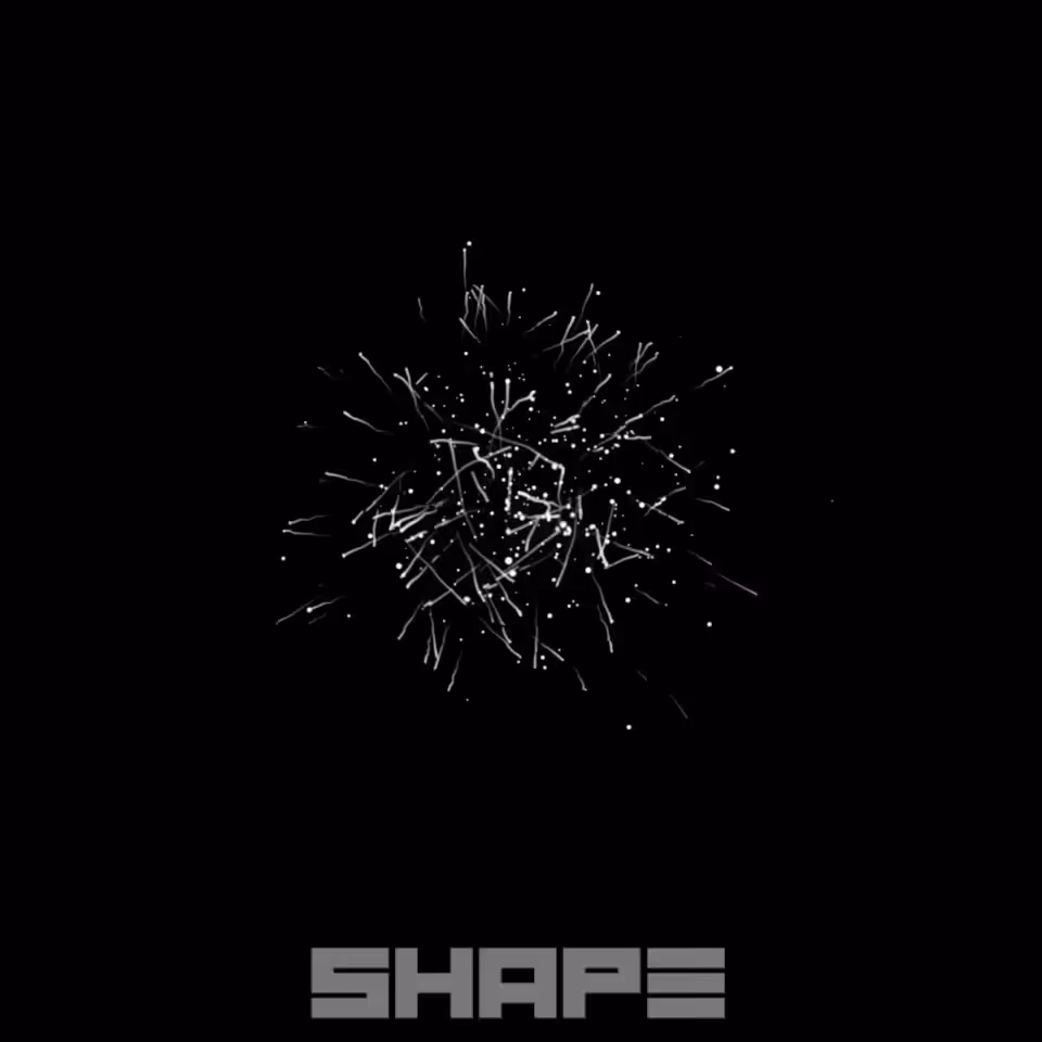 #100 different shapes: #068 - Protected Particle