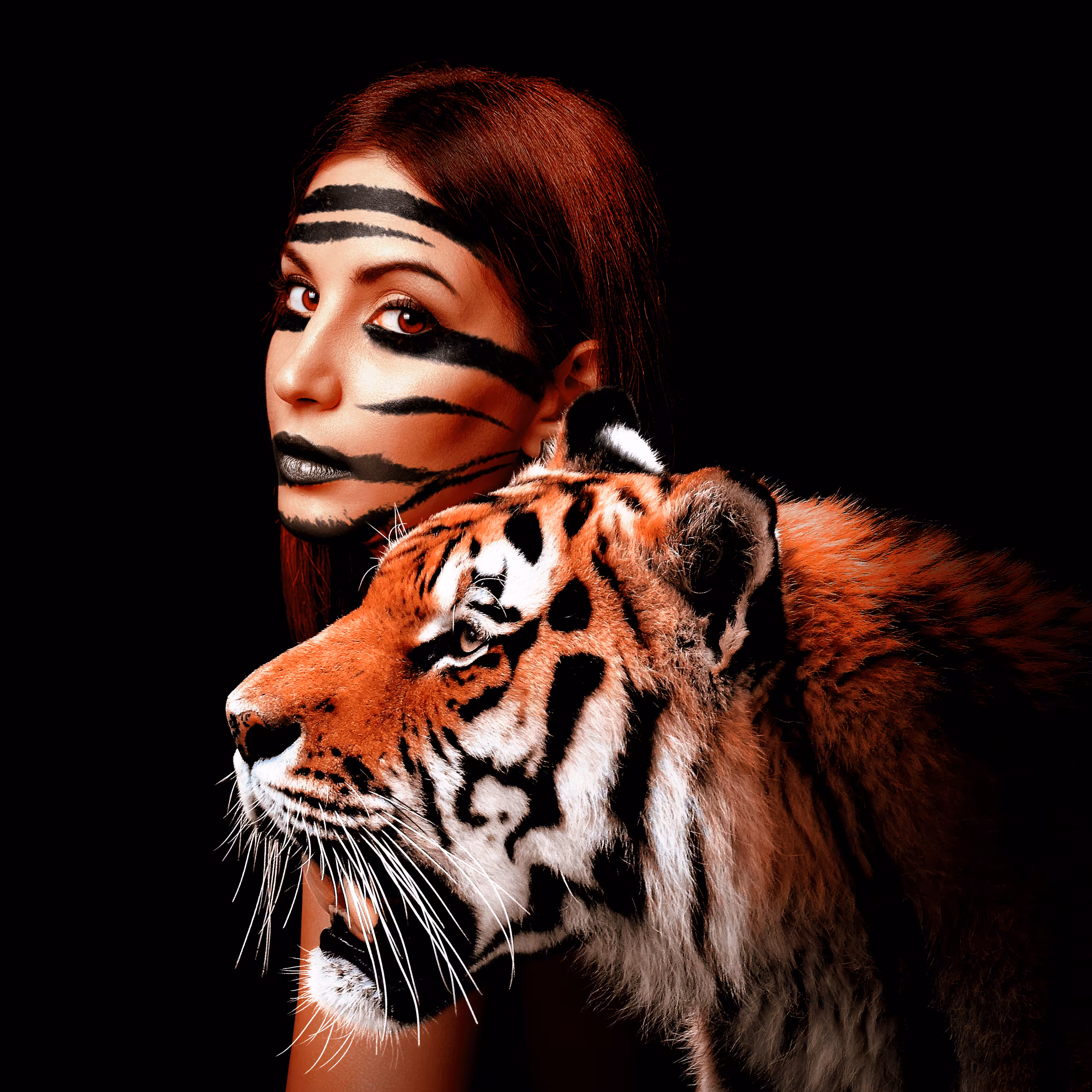 Felidae