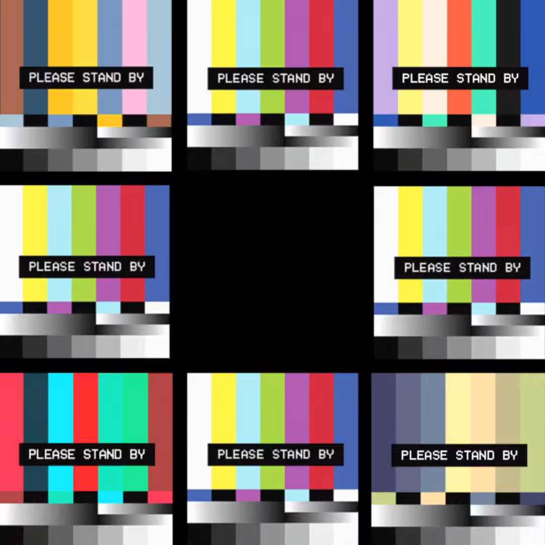 The Please Stand By Bunch