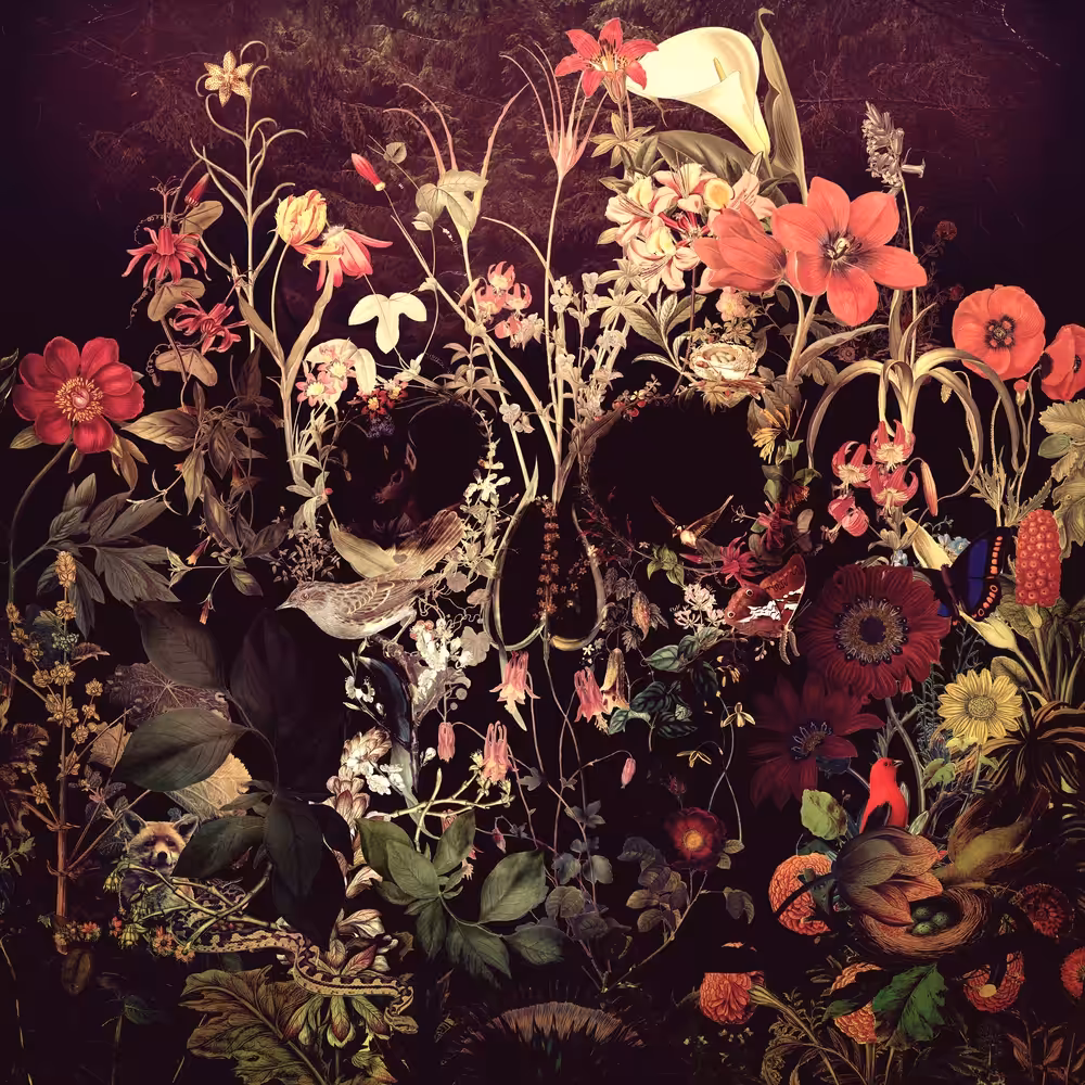 The Message: Bloom Skull