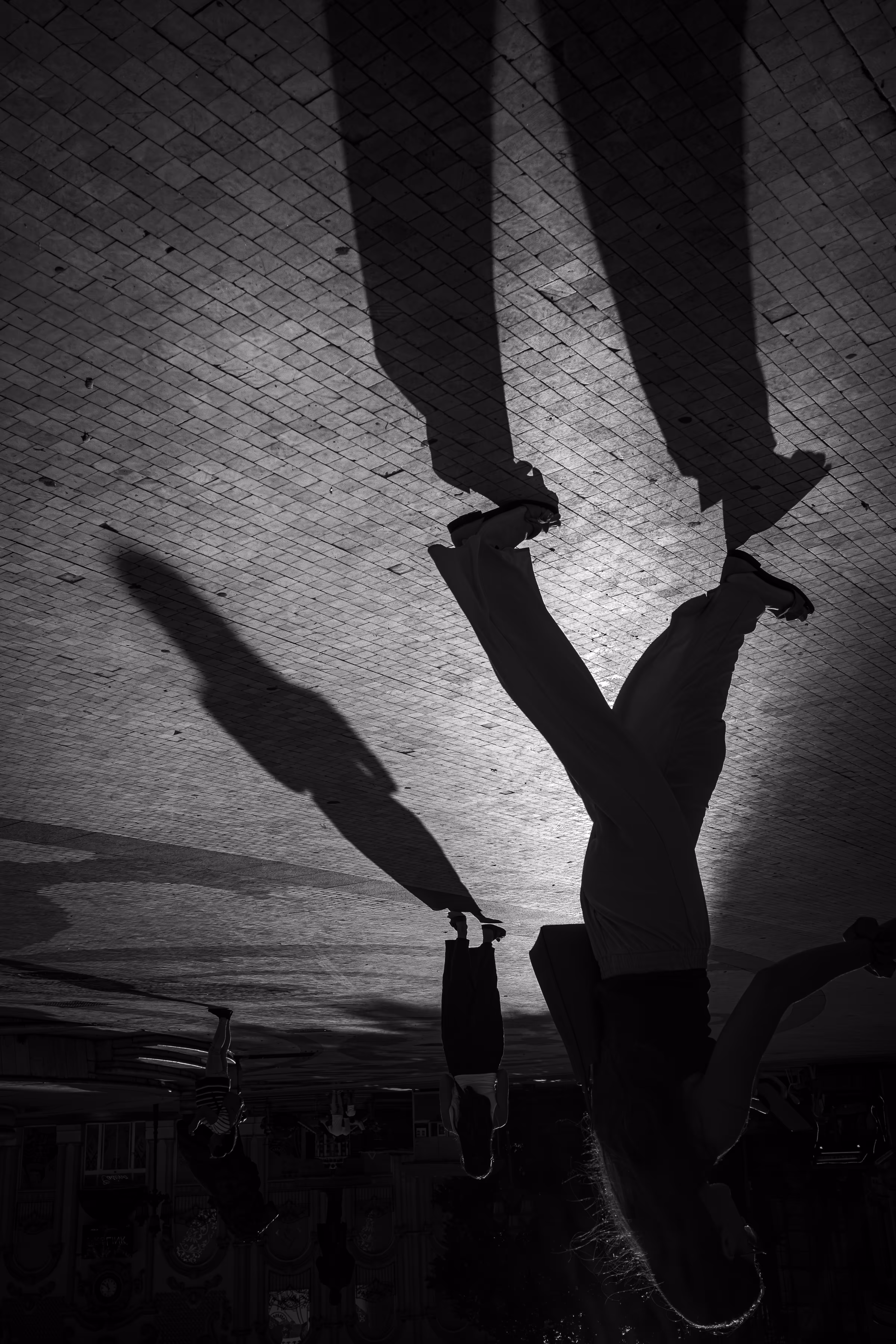 Ephemeral Existence: Grace in Passing