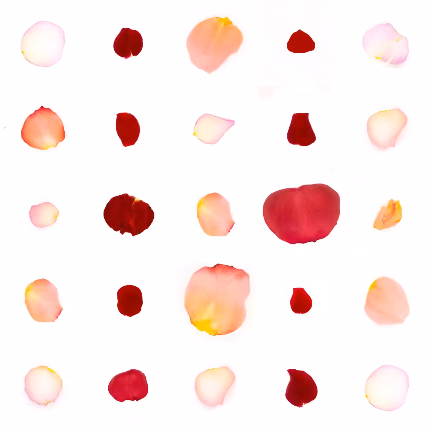 Infinite Petals 5x5#21215