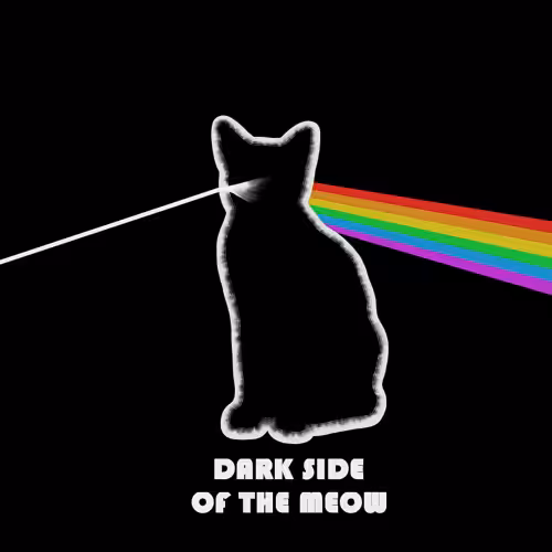 MeowsterS #6 DarkSide