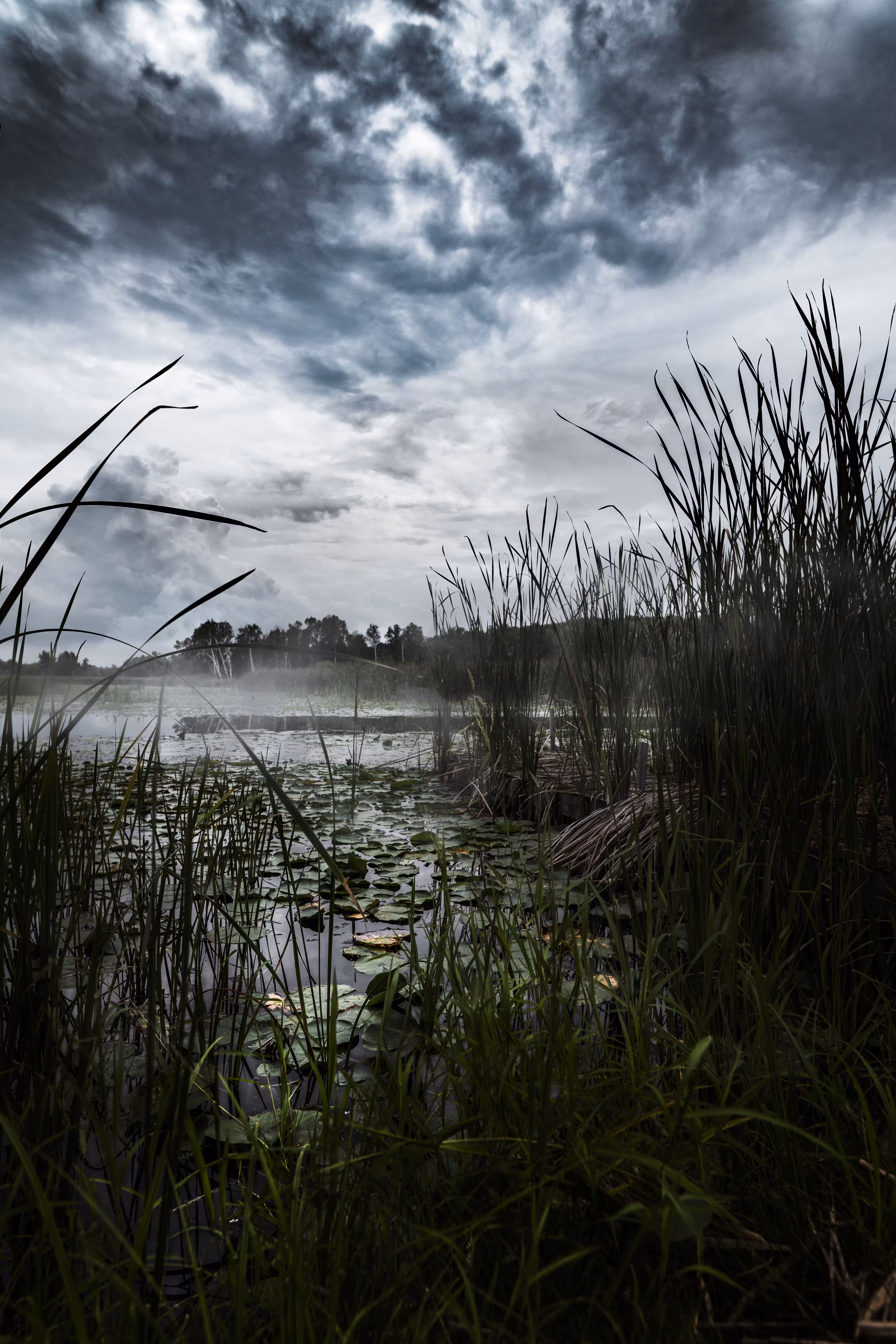 Foggy Water