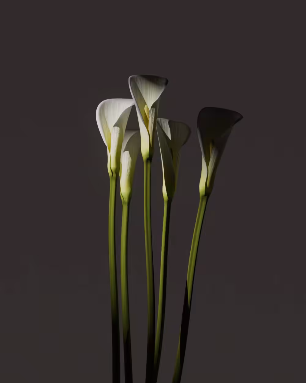 Calla lily twist