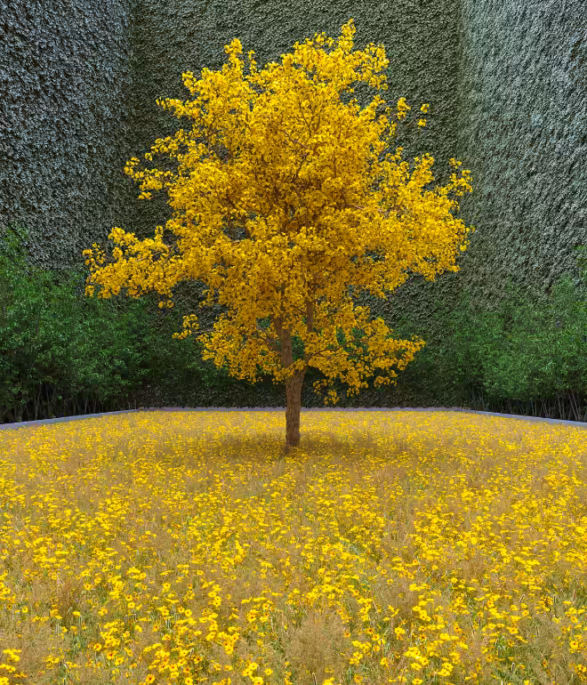 Garden of Imagination #73