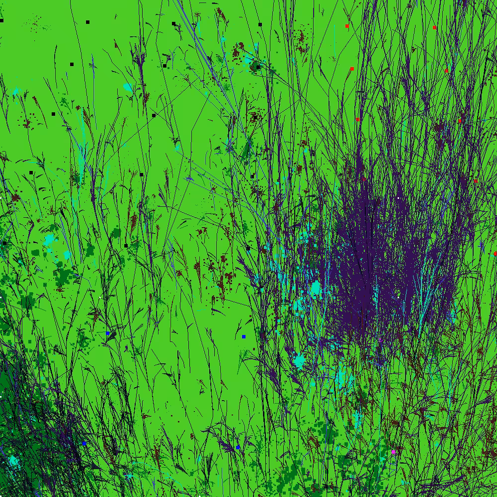 Infinite Garden: 19601 Flowers