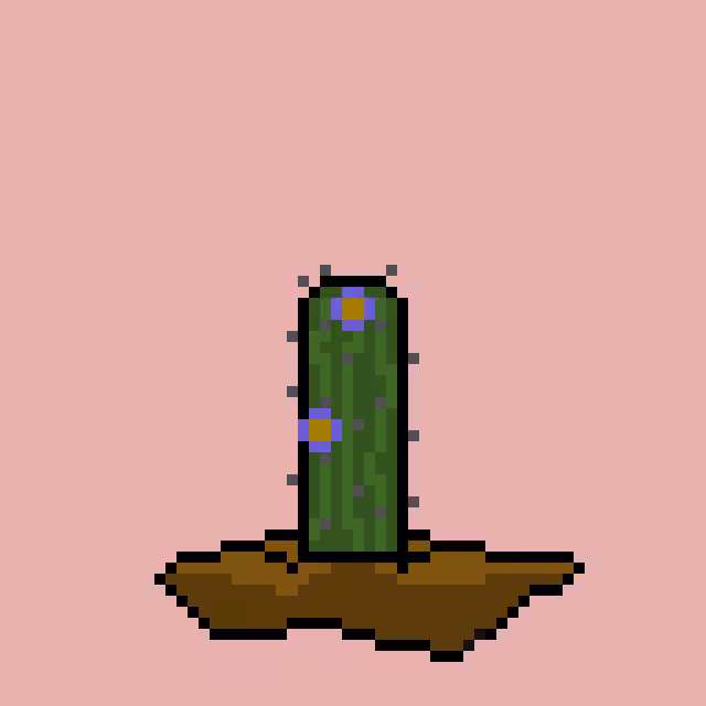 Regular Cactus #6743
