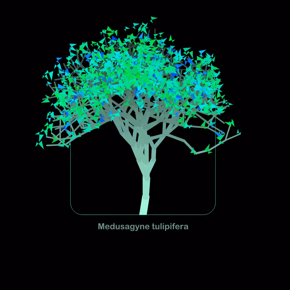 Fluidynamix - Trees #50
