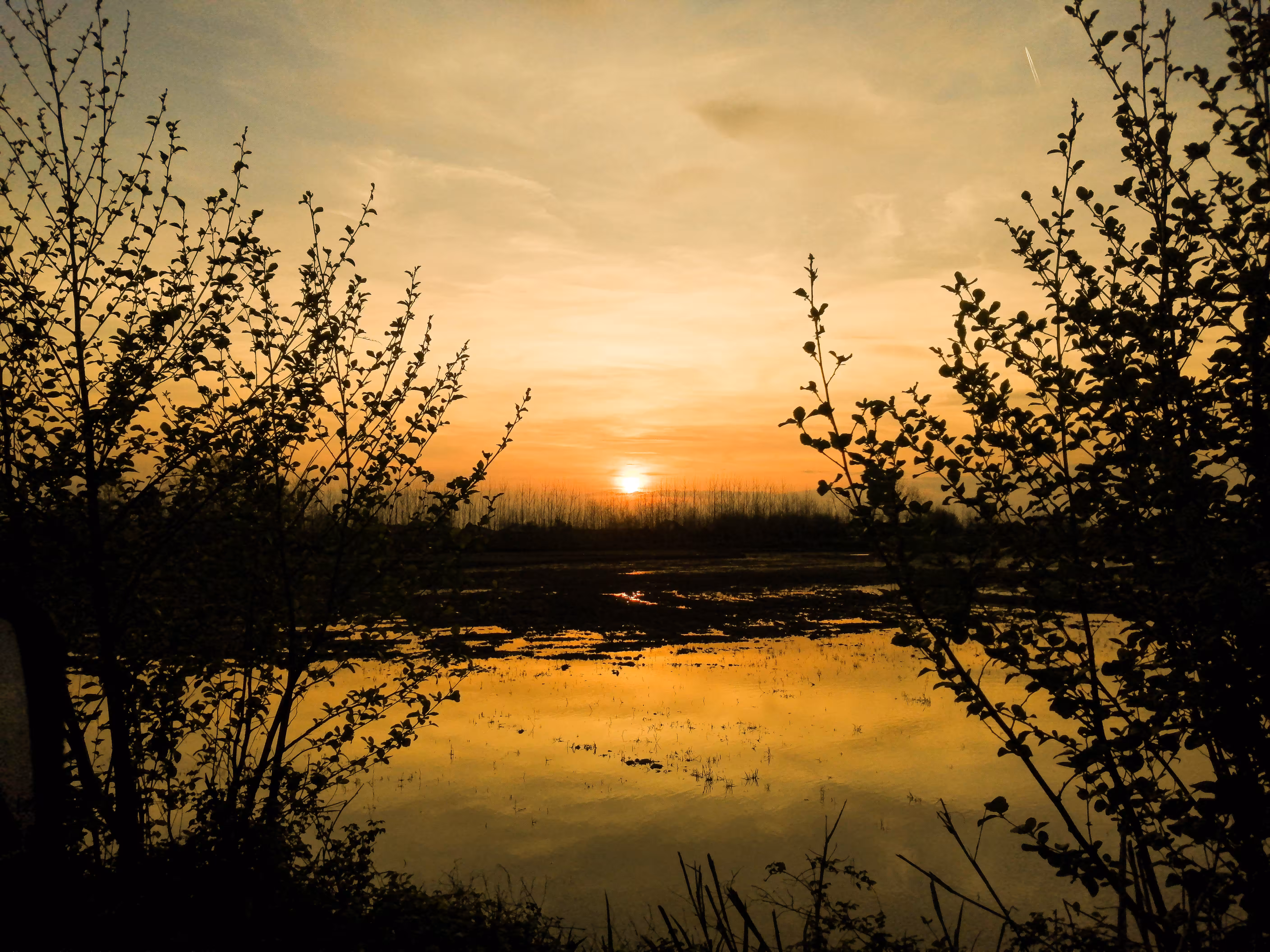 sunset