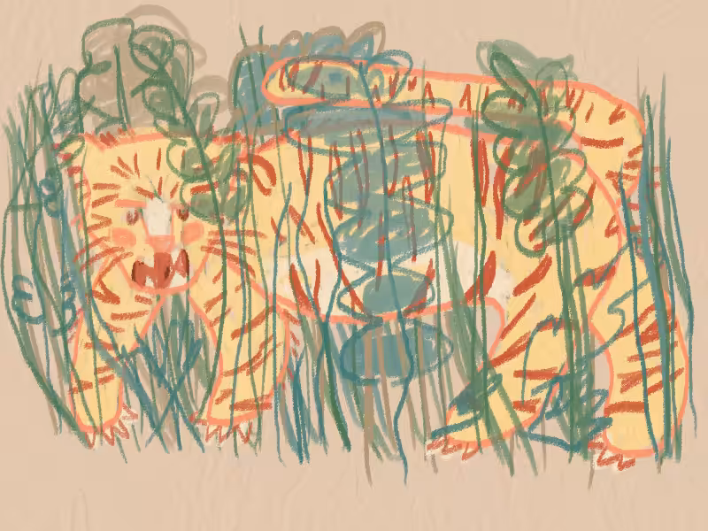 dis tigre