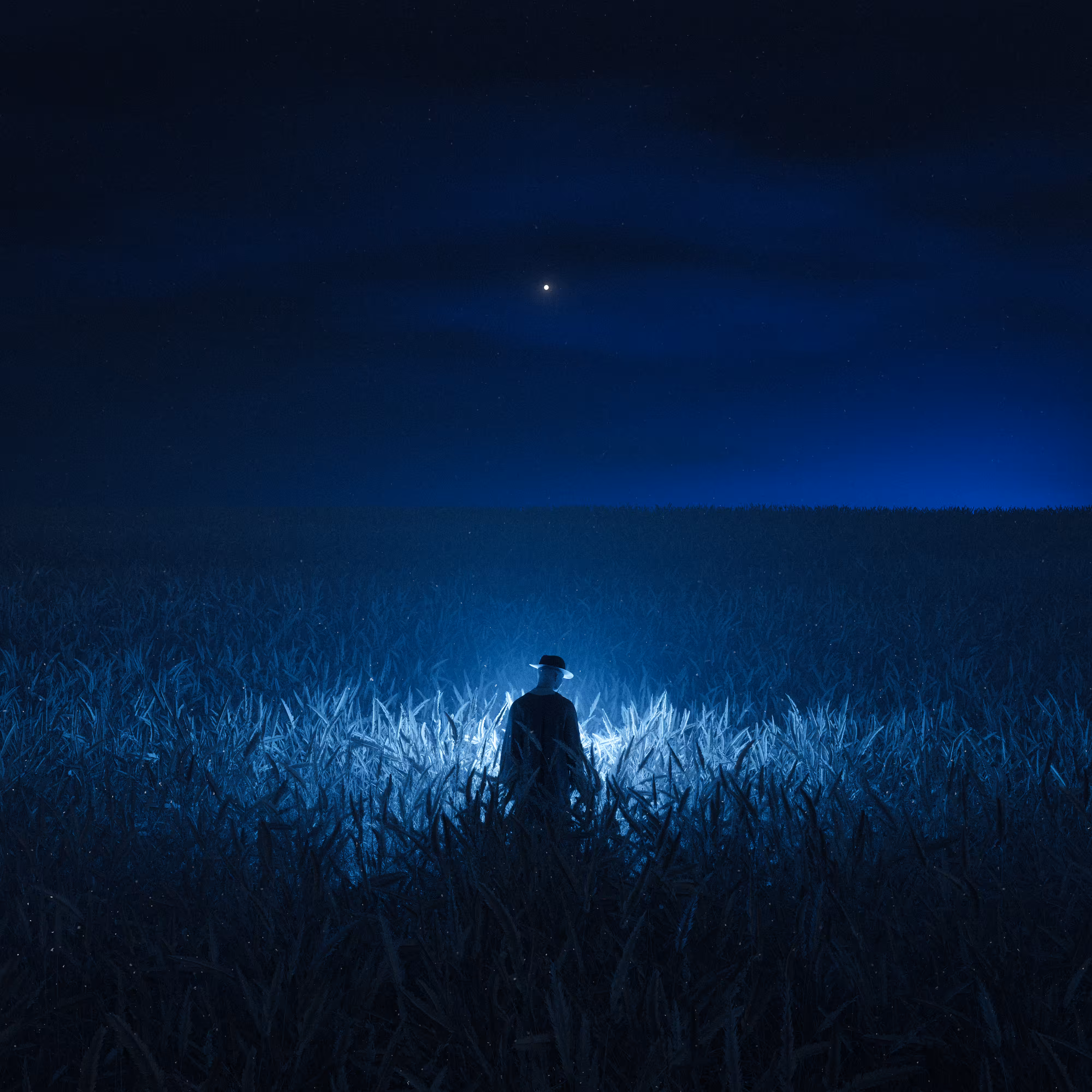 Blue Hour: field of dreams