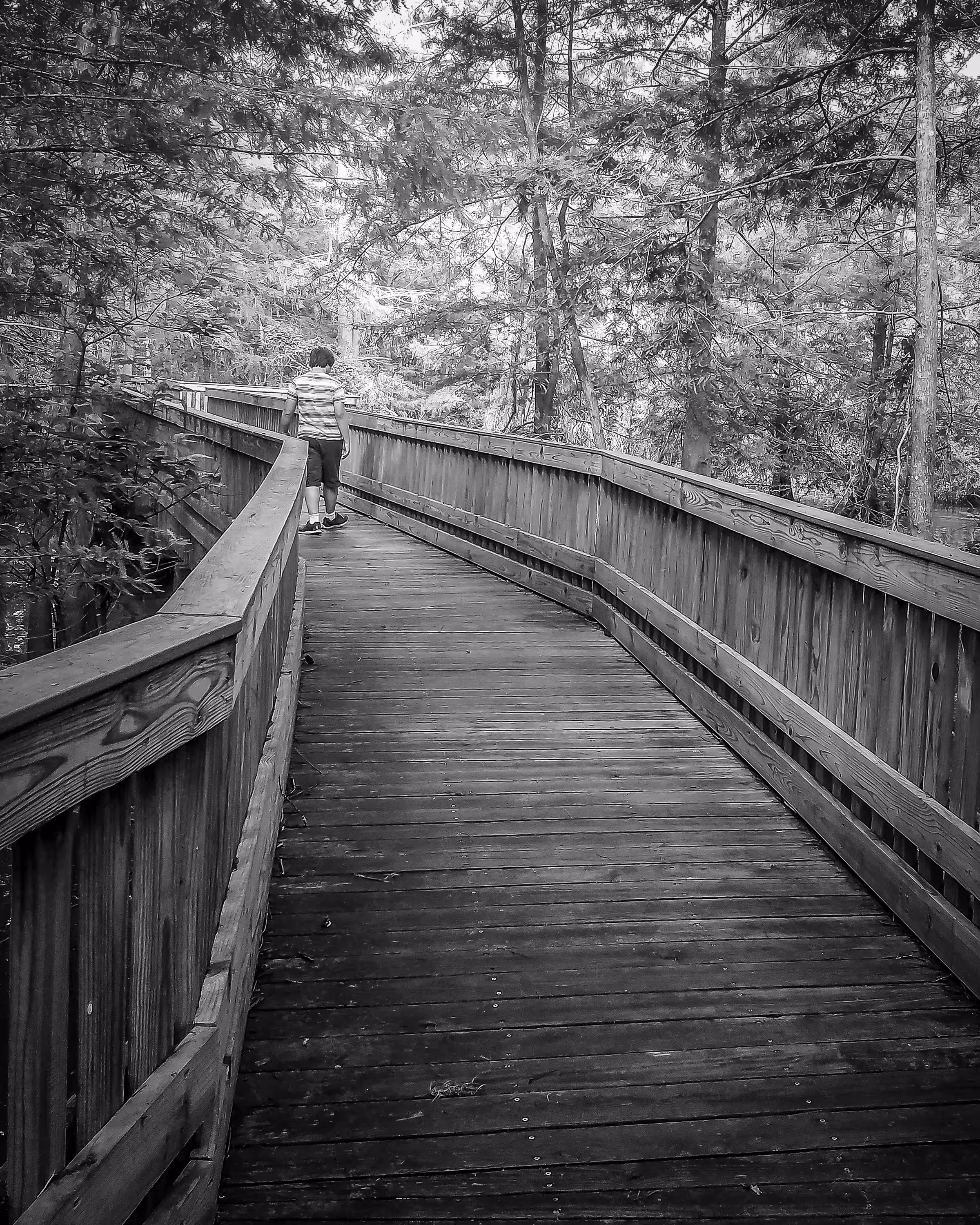 Lily White Black & White: Anahuac Wildlife Refuge Texas