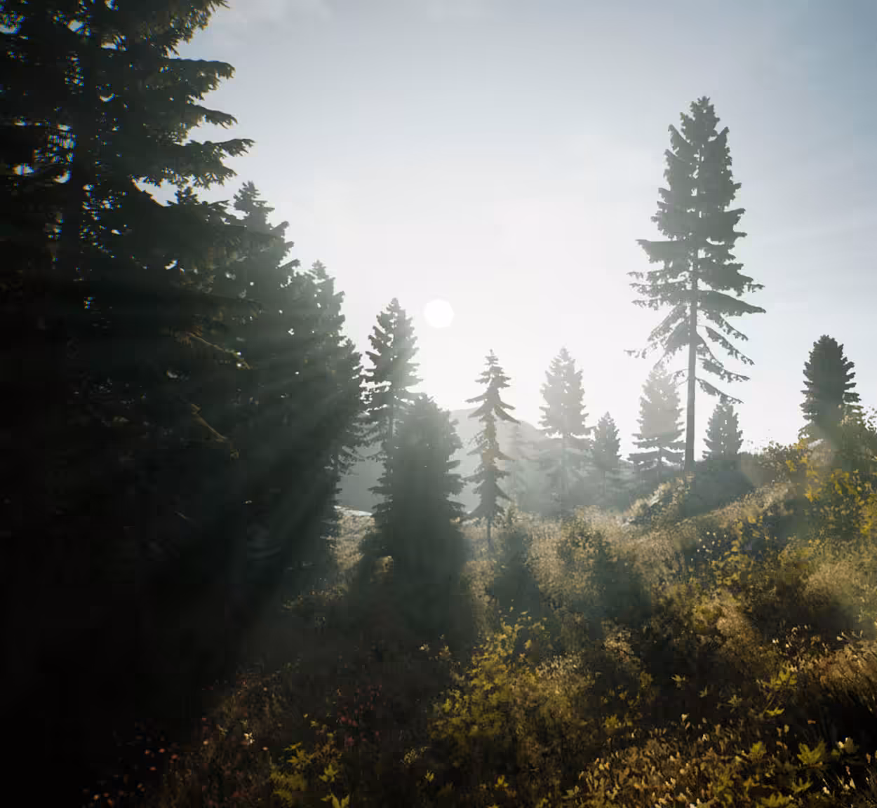 Calm at the edge of the forest - Another Way Collectibles #002 (12/20)