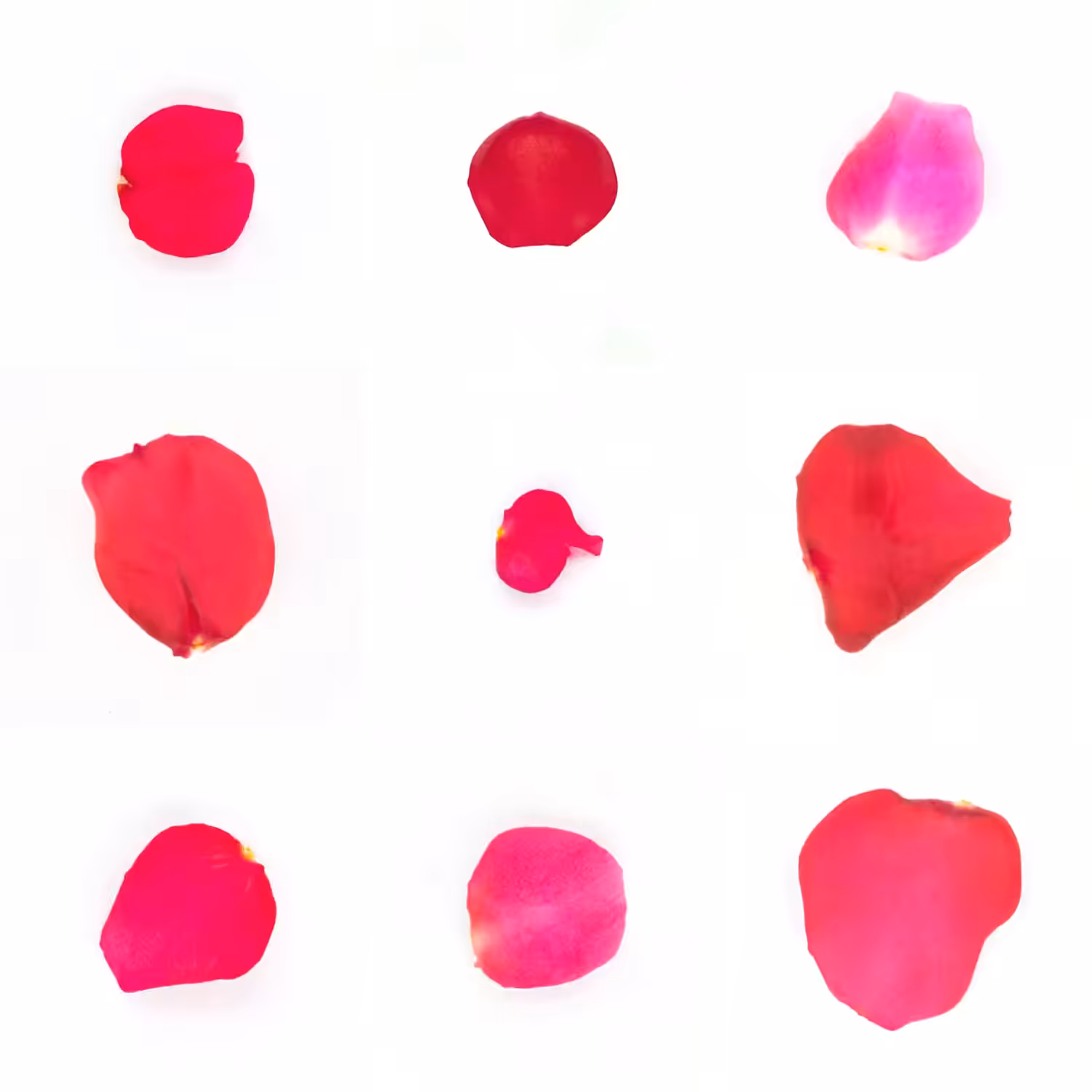 Infinite Petals 3x3#4235