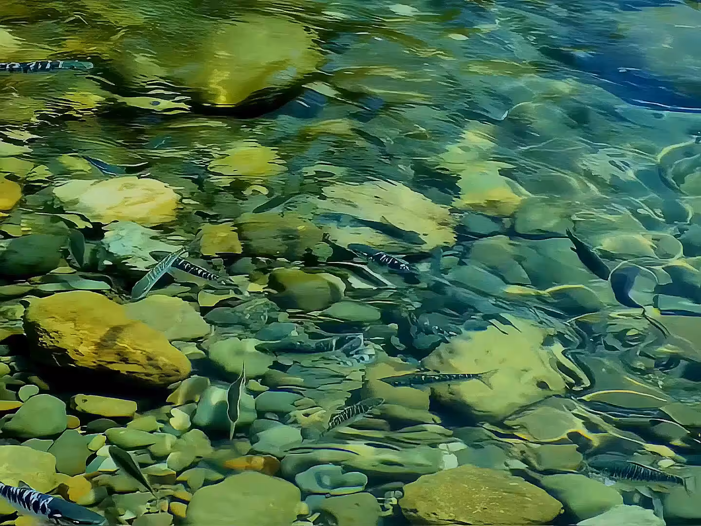 Clarity: Water and Sky
