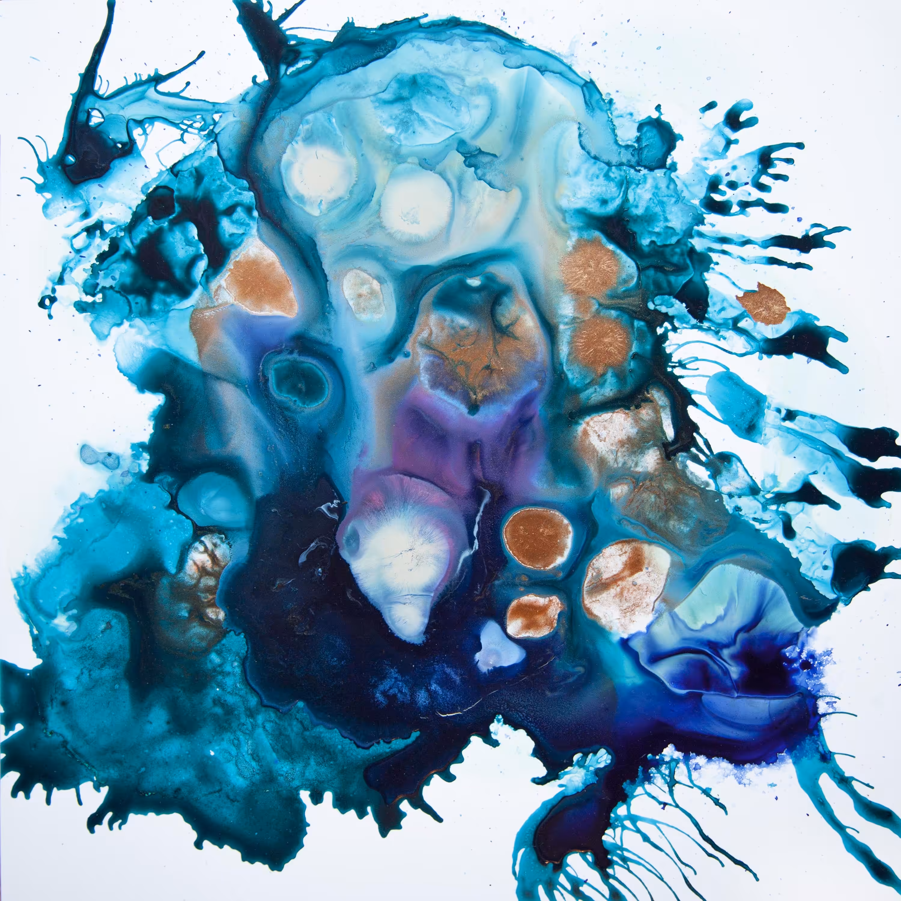 Blue Crab