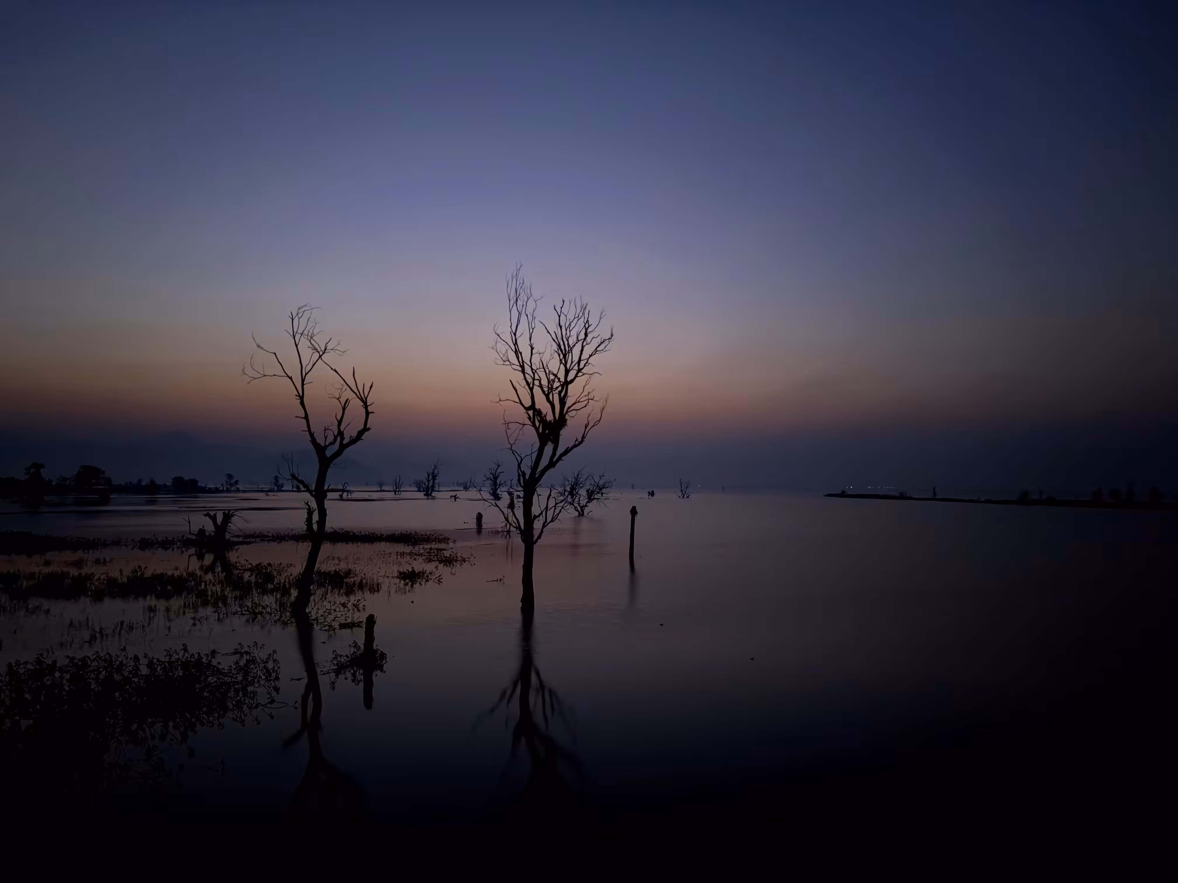 Silent Horizon