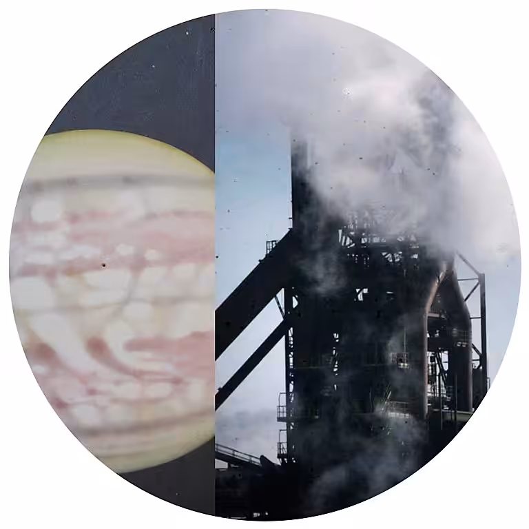 Charleroi