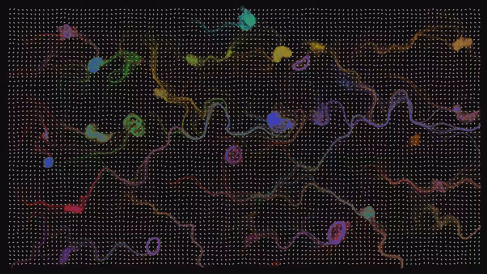 fx(flowField) #11