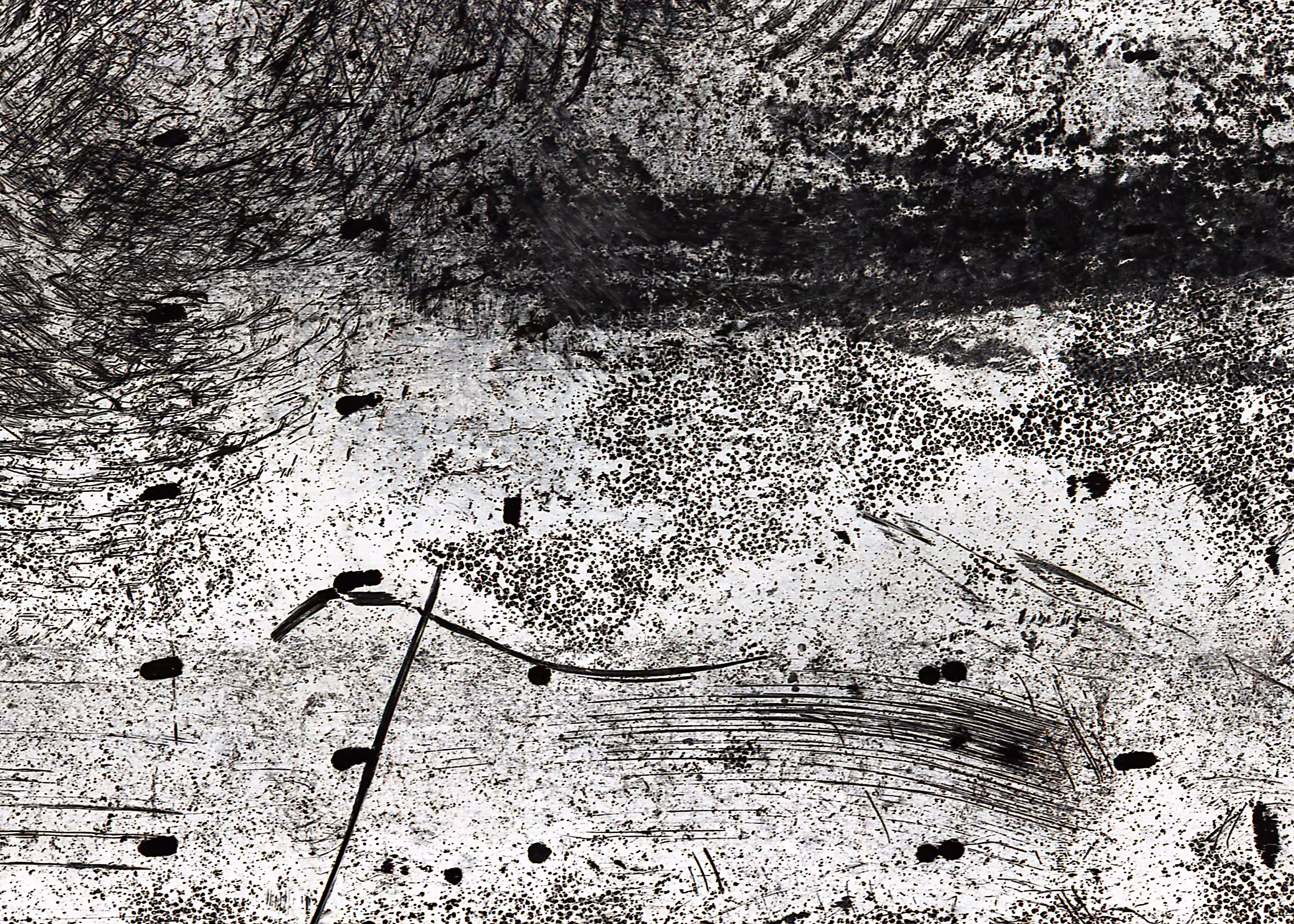 Oregano 2023/ Cooked film
