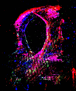 digital: Disillusioned