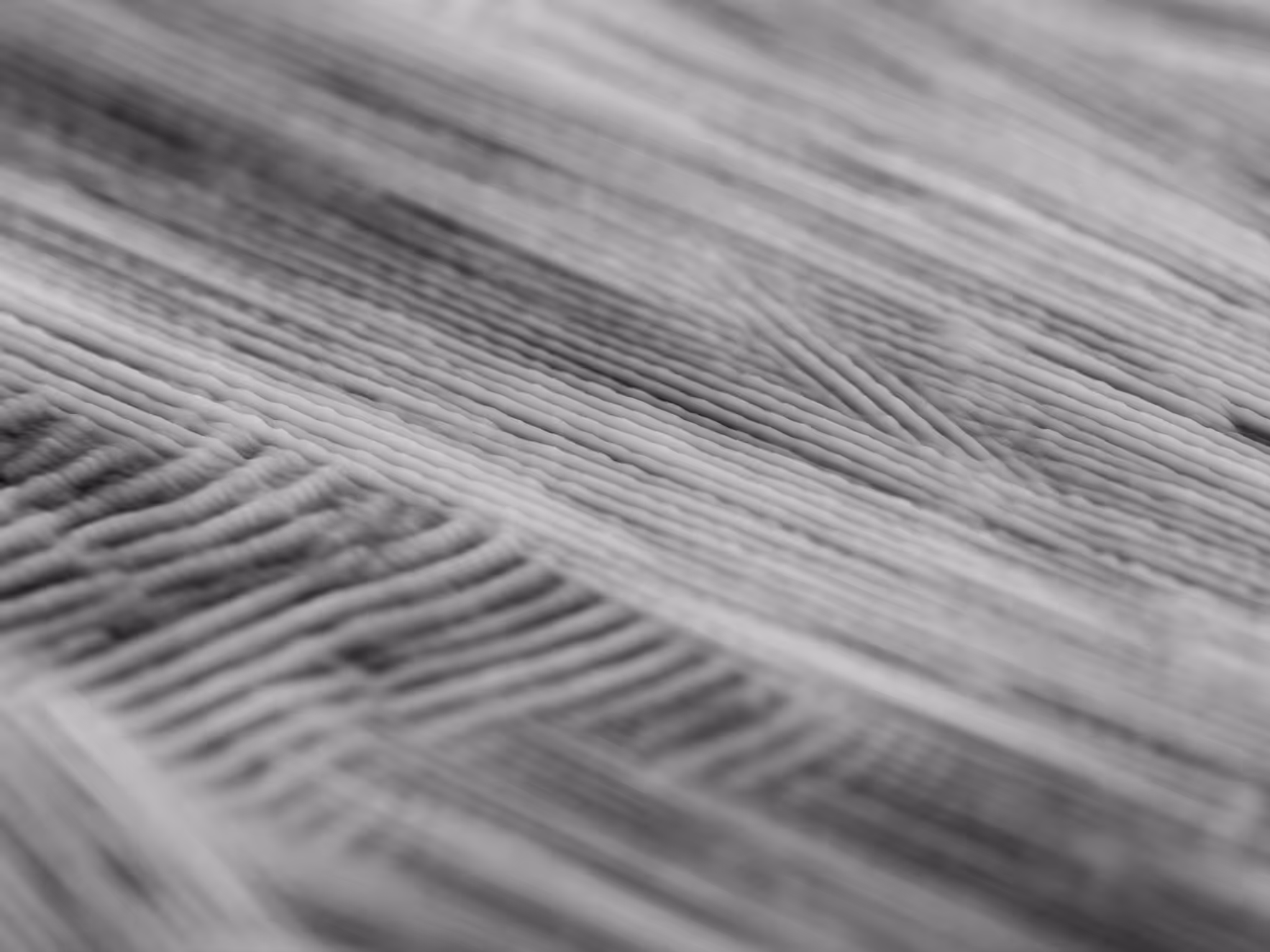 PHYSARUM LANDSCAPE #3