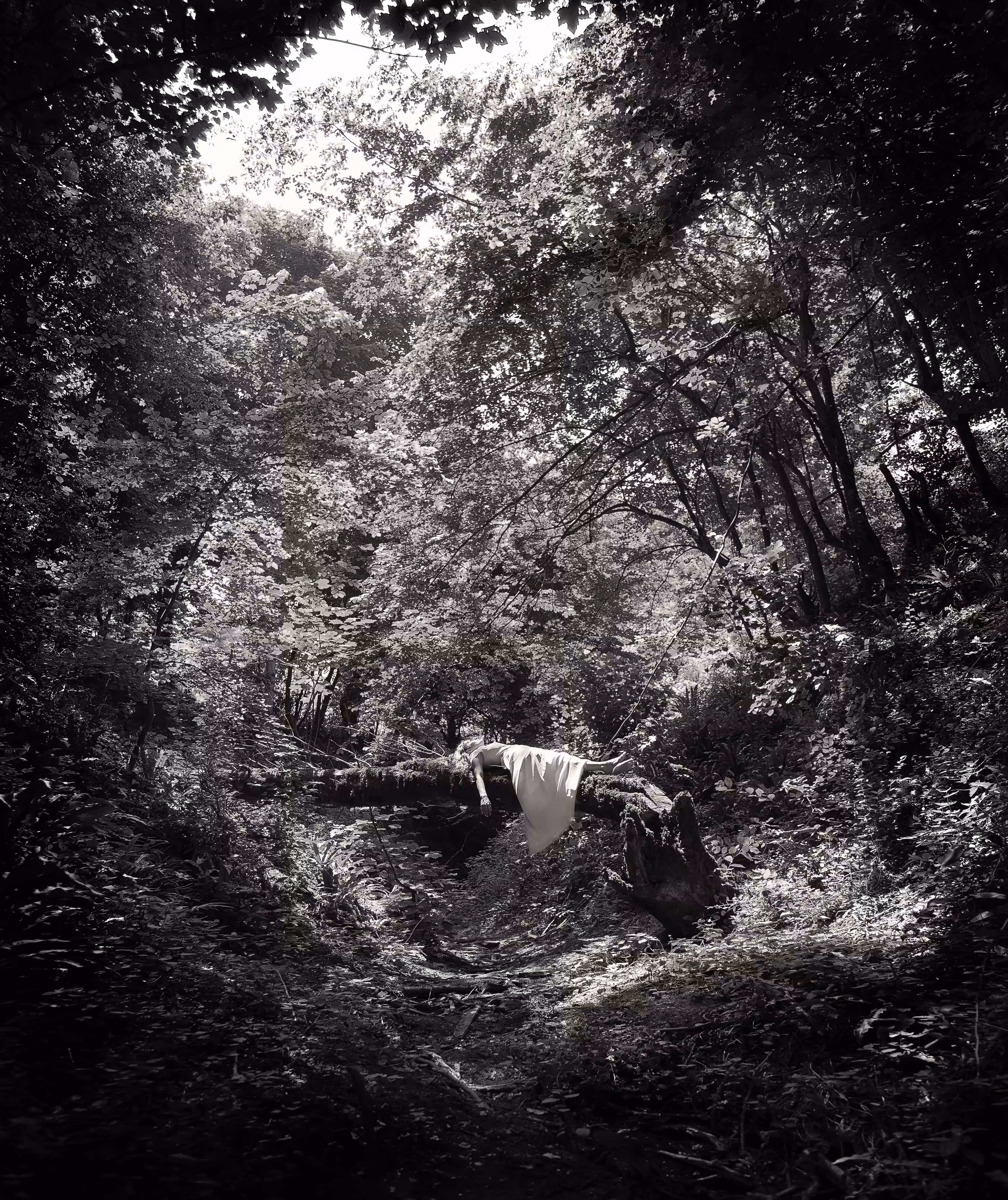 Cradle