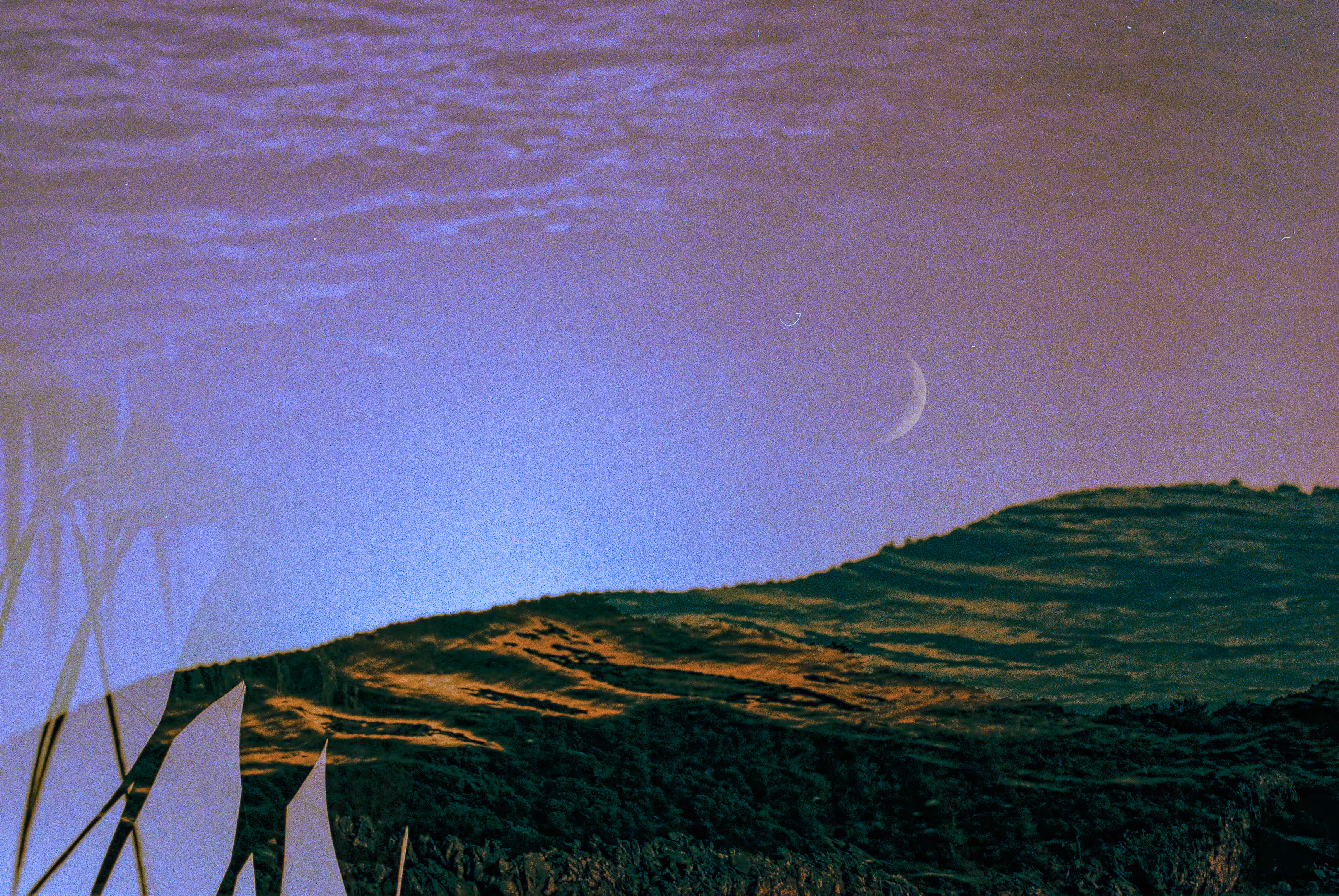 pink moon