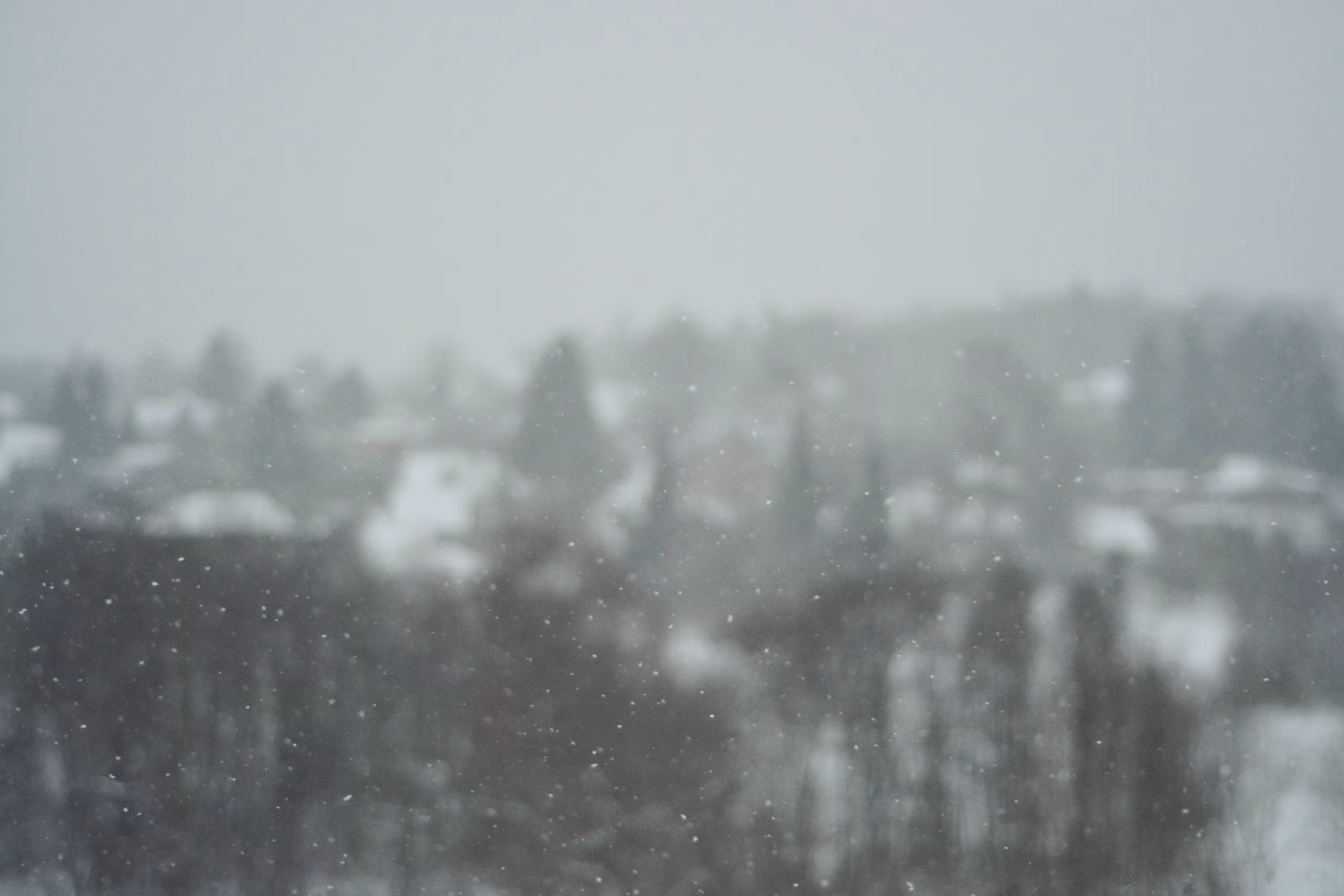 Snowfall