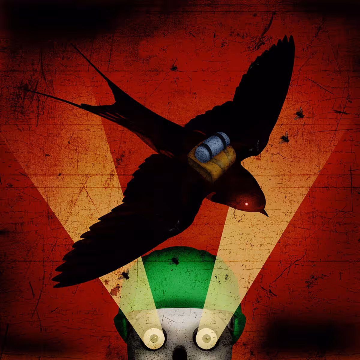 Swallow
