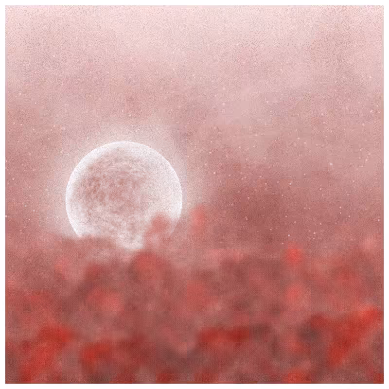 Rêve em Nuvens #17